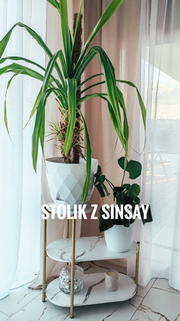 Kiedy zobaczyłam go na stronie @sinsay wiedziałam, że będzie mój 😍 
.
#stolikkawowy #stolik #półka #salon #kwietnik #kwiaty
.
Biały stolik ze złotymi nóżkami | kwietnik | stolik kawowy | biały salon